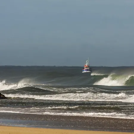 Vendégház Homemoel Local Accomodation Al 3*