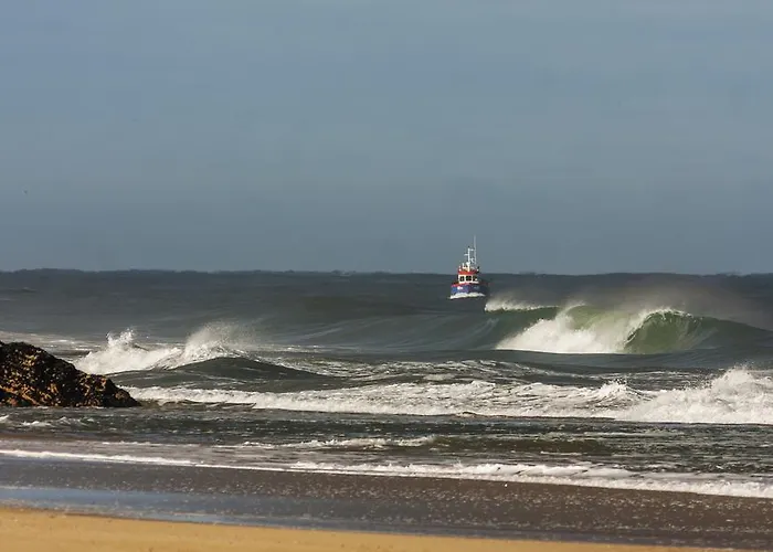 Penzion Homemoel Local Accomodation Al 3*