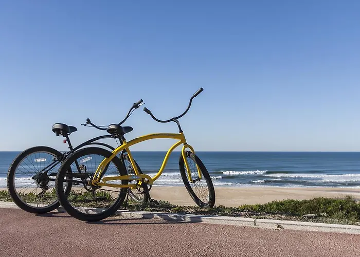 Homemoel Local Accomodation Al 3* São Pedro de Muel